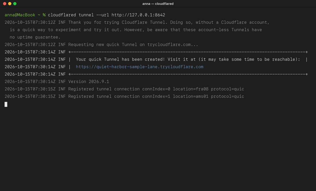 Terminal running cloudflared and showing the trycloudflare address